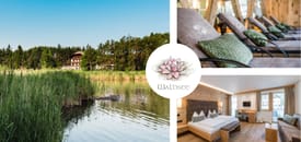 Hotel WALDSEE
