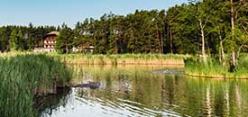 Hotel WALDSEE Hotel WALDSEE